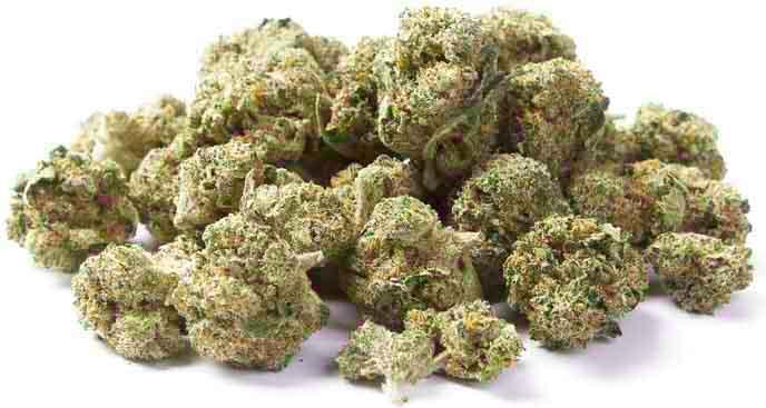Produktbild Herba di Berna Erdbeerli Mini Buds (42 g, Indoor)