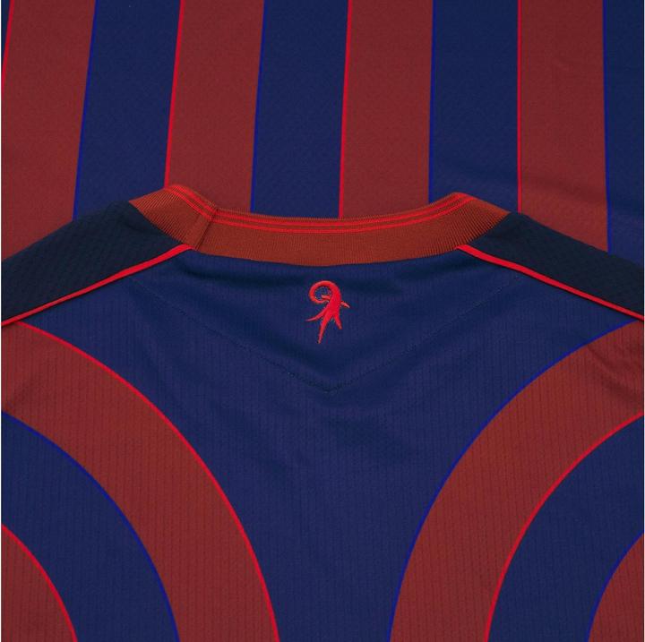 Actual product image Macron FC Basel Home Jersey 25/26 M, Blau/Rot, Detailfarbe (M)
