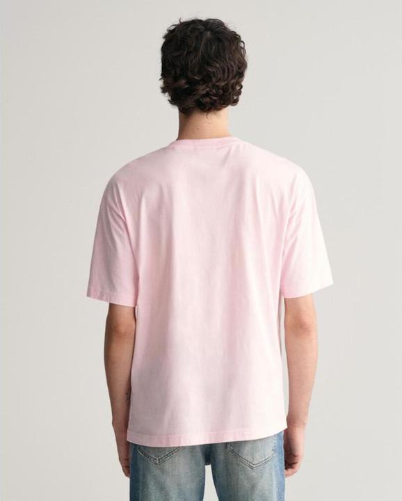 Actual product image GANT t-shirt washed graphic (M)