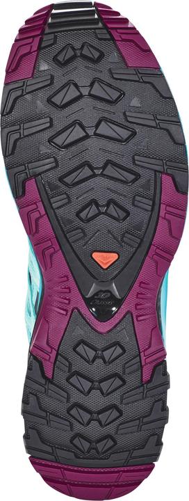 Image du produit Salomon Chaussures XA Pro 3D (44)