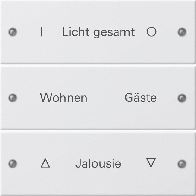 Gira, Zubehör Schalterprogramm, Wippenset 3f beschr. System 55 220303