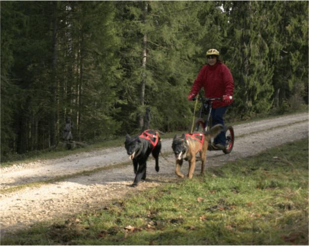 Actual product image Gravity Montain Scooter M10 Trail