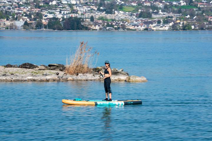 Actual product image Mint Lama Family (10'6")