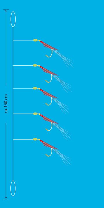Immagine prodotto Aquantic Heringsvorfach II Gr.8