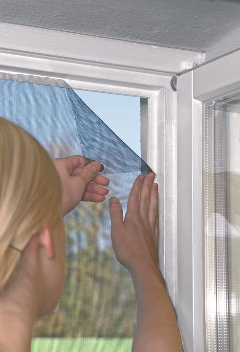 Actual product image Windhager Standard fly screen (100 x 100 cm)