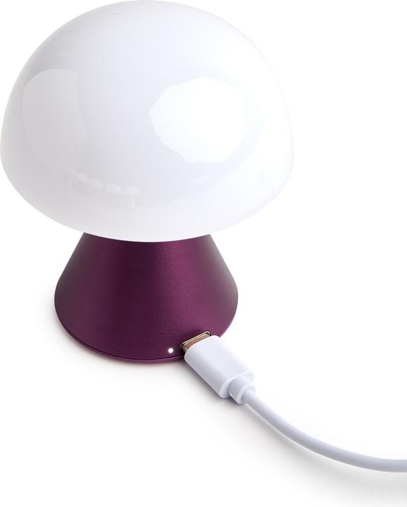 Actual product image Lexon Mina