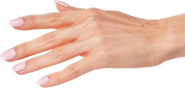 Produktbild Ardell 1 Step Gel Polish Dahlia Dreams 10 ml (Dahlia Dreams, Gel-Effekt Nagellack)