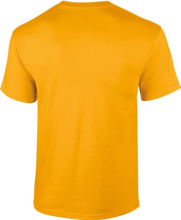Actual product image Gildan Ultra Cotton™ Adult T-Shirt (3XL)