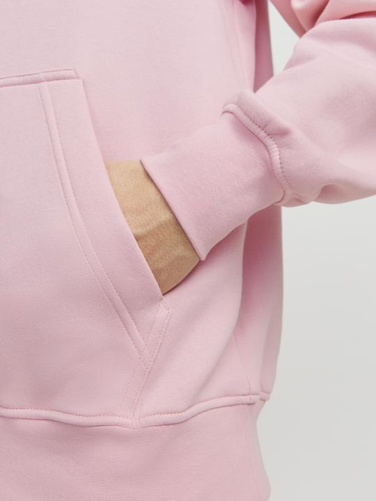 Produktbild Jack & Jones Jorvesterbro Sweat Hood Noos (XXL)