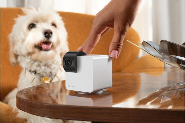 Immagine prodotto Petcube Cam 360