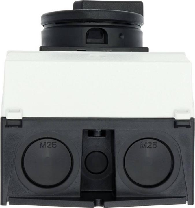 Actual product image Eaton Isolator 25A 3 Pole with black handle