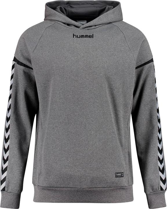 Produktbild hummel Authentic Charge Poly Hoodie (116)