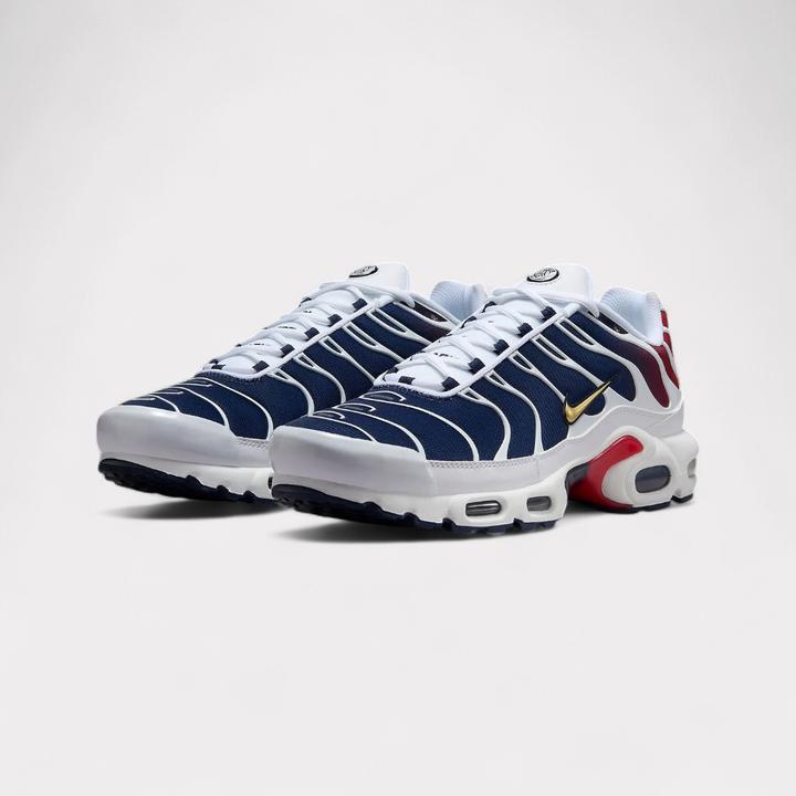 Image du produit Nike Air Max Plus (39)