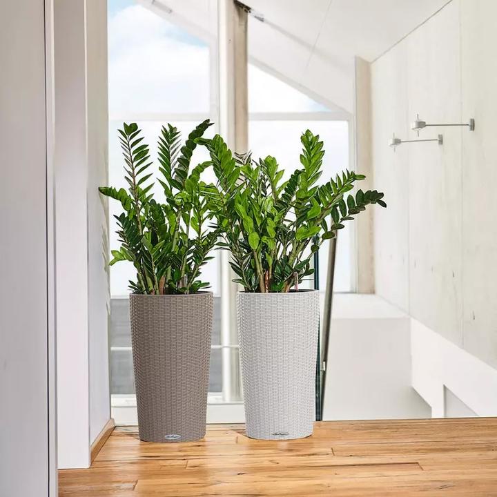 Produktbild Lechuza CILINDRO Cottage All-In-One (32 cm)