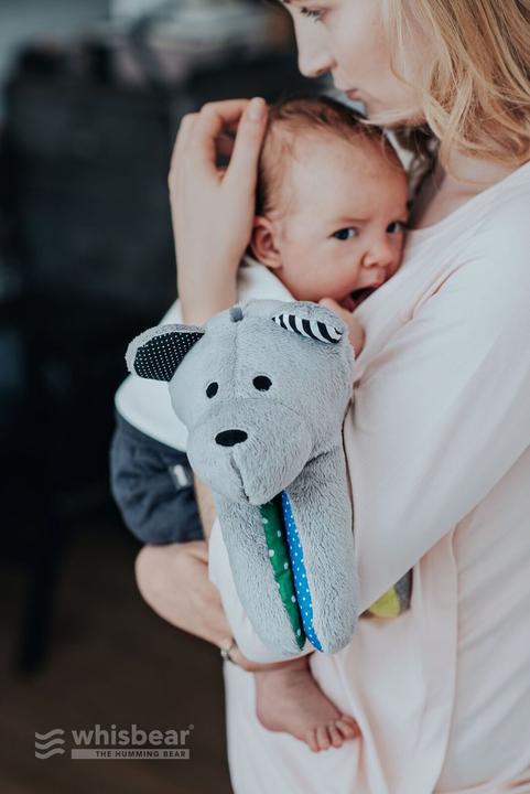 Produktbild Whisbear Der summende Bär (36 cm)