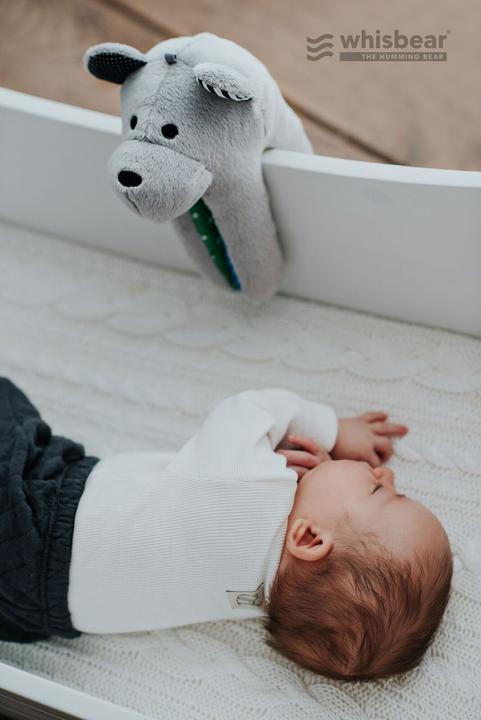 Produktbild Whisbear Der summende Bär (36 cm)