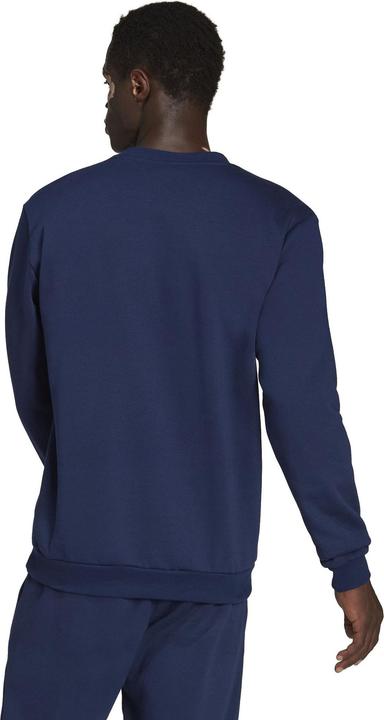 Actual product image adidas Entrada 22 sweatshirt men (S)