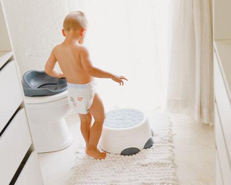 Actual product image Bumbo Potty Step n Potty