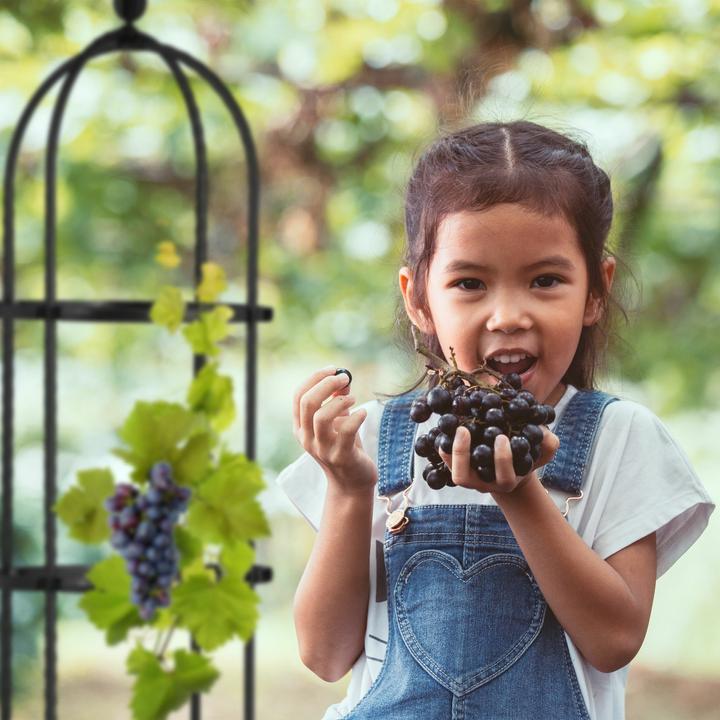 Actual product image Relaxdays Bambus