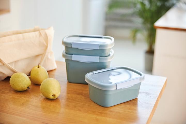 Image du produit Rotho Boîte de conservation ECO (0.80 l)