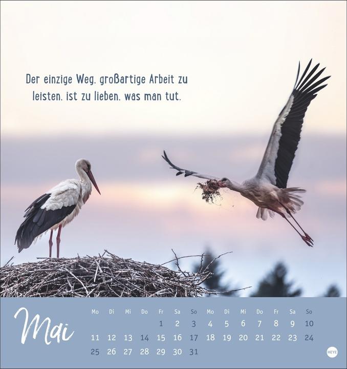Produktbild Never give up! Postkartenkalender 2026 - Durchhalten. Denn alles wird gut (Deutsch)