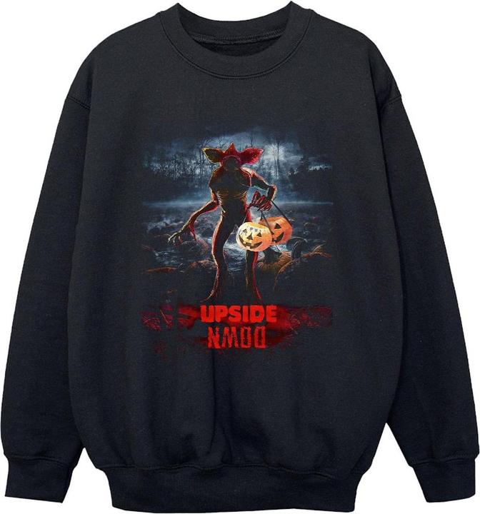 Produktbild Netflix Stranger Things Pumpkin Upside Down Sweatshirt Jungen (152, 158)