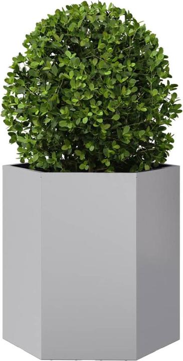 Produktbild vidaXL Pflanzkübel