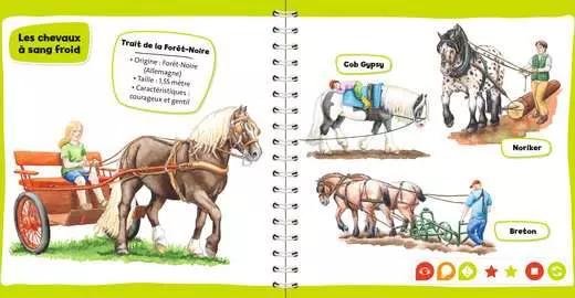 Produktbild Ravensburger tiptoi Mini Doc Chevaux et poneys (Französisch, 2024)