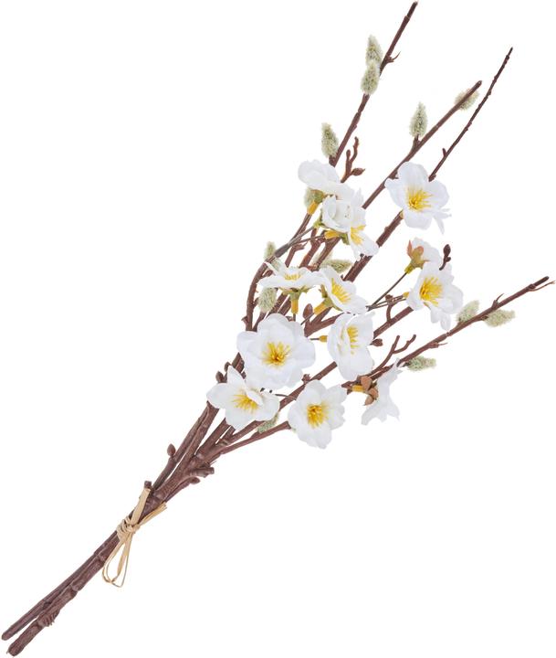 Immagine prodotto DPI Grappolo di salice da fica con fiori di pesco