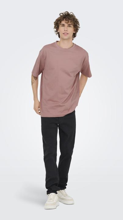 Produktbild Only & Sons Onsfred Life Rlx Ss Tee Noos (M)
