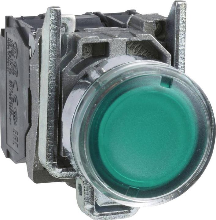 Actual product image Schneider Electric Illuminated pushbutton 1NC 1S green