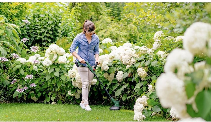 Actual product image Bosch Home & Garden EasyGrassCut 18V-26 (Trim line)