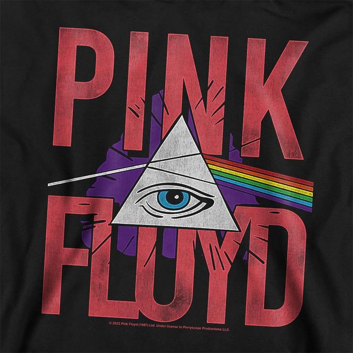 Produktbild Pink Floyd Allseeing Prism Kapuzenpullover Zum Überziehen (128)