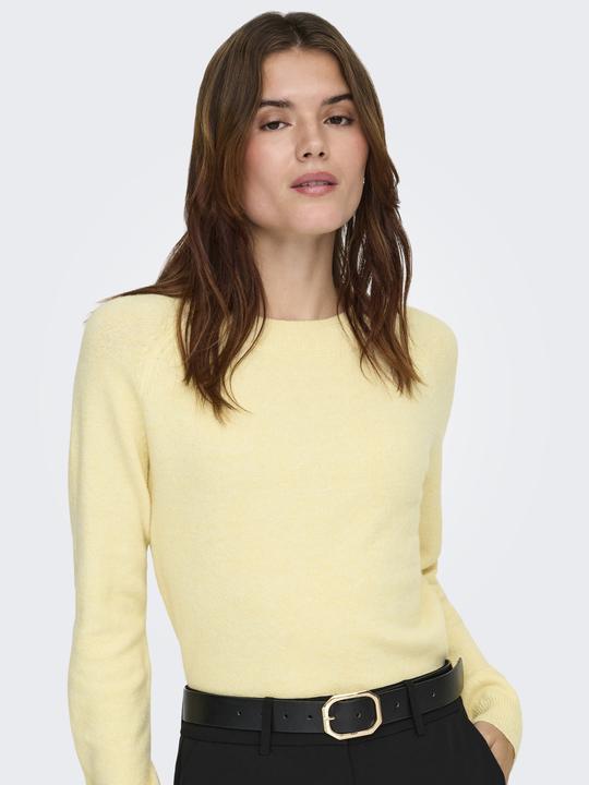 Immagine prodotto Only ONLRICA Strickpullover Strickpullover (M)