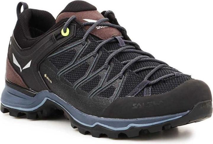 Produktbild Salewa MTN Trainer Lite GTX Schuhe (46)