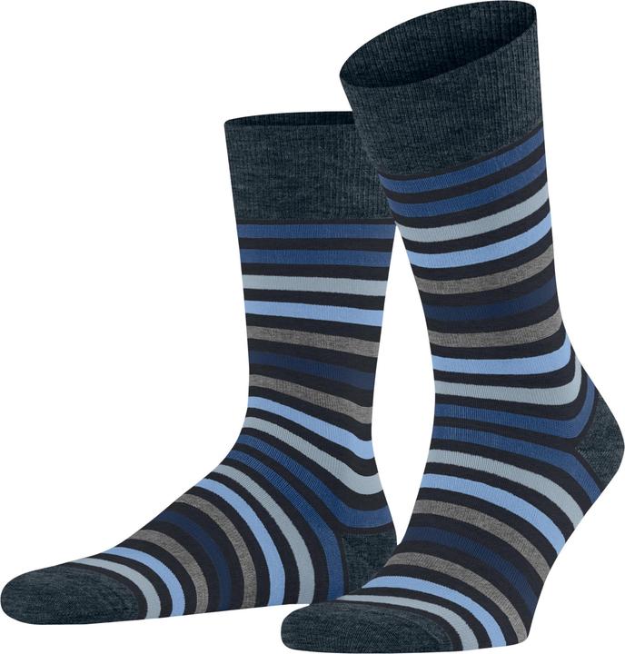 Actual product image Falke Tinted Stripe SO (Single pack, 47 - 50)