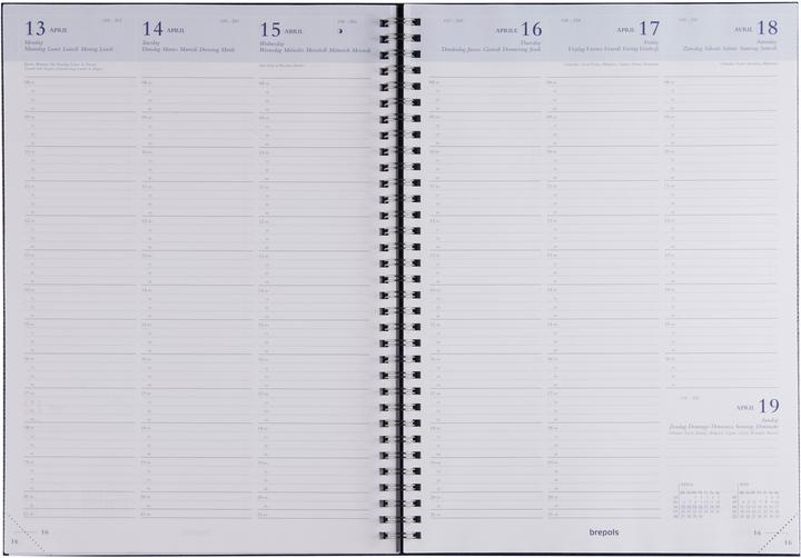 Immagine prodotto Brepols Omega (A4, Tedesco, Francese, Inglese, Olandese)