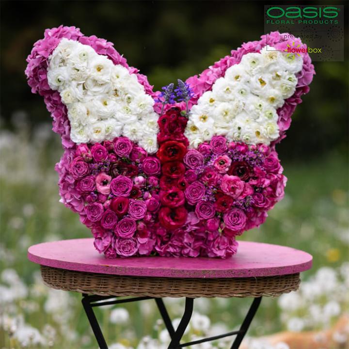 Actual product image Oasis Butterfly