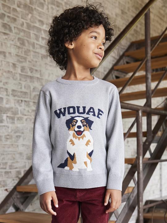 Immagine prodotto Vertbaudet Jungen Rundhals-Pullover mit Hund (116)