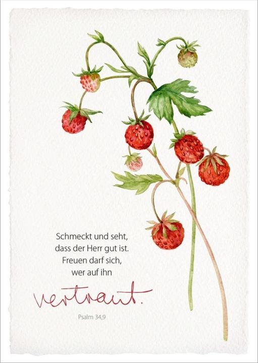Actual product image GartenGlück - Postcard set (18 pcs.)