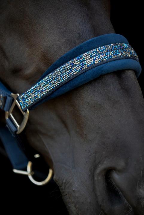 Image du produit Horse Guard Angel