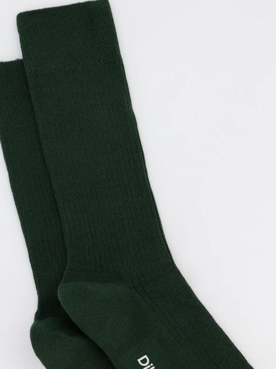 Image du produit DillySocks Ribbed (Une unité par pack, 36 - 40)