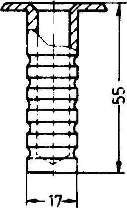 Produktbild Strenger Bodenbüchse ohne Verschluss, 10 mm, Höhe 55 mm, Messing vernickelt matt (1 Stk.)