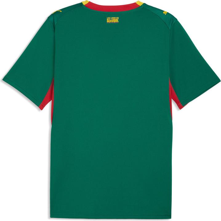 Actual product image Puma FSF Away Jersey Replica (M)