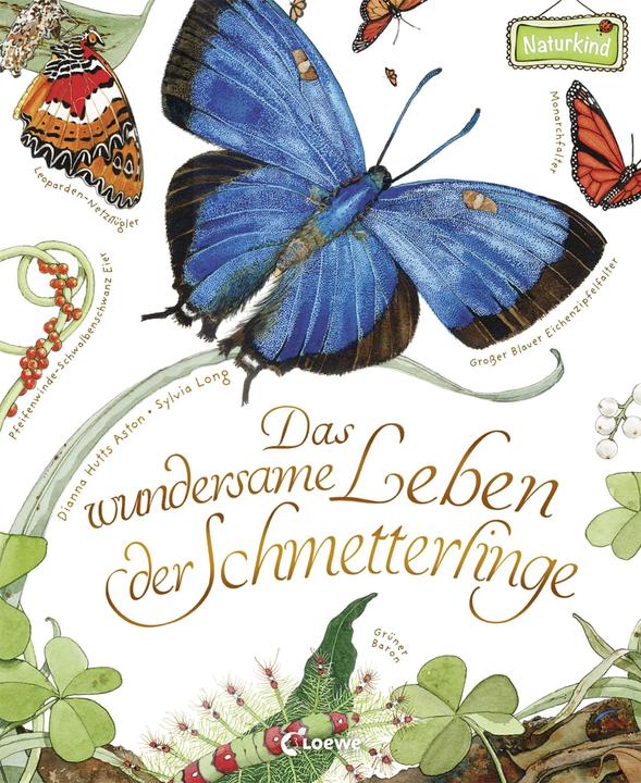 Produktbild Das wundersame Leben der Schmetterlinge (Deutsch, Dianna Hutts Aston, 2017)