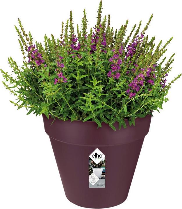 Actual product image Elho Loft Urban (20 cm)