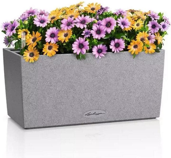 Grey, Steingrau, Stone colour