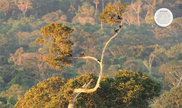Actual product image Asher:Wilde Welten (German, Tom Jackson, Dr Claire Asher, Dr Julia Schröder, Derek Harvey., Michael Kokoscha, Claudia Franca de Abreu, Dr Rebecca Green, DK Publishing House, 2025)