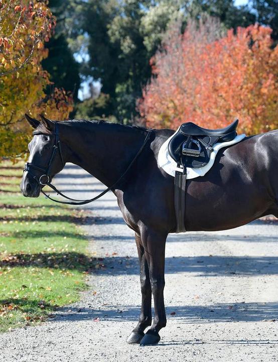 Immagine prodotto Weatherbeeta Prime Comfy All Purpose Numnah