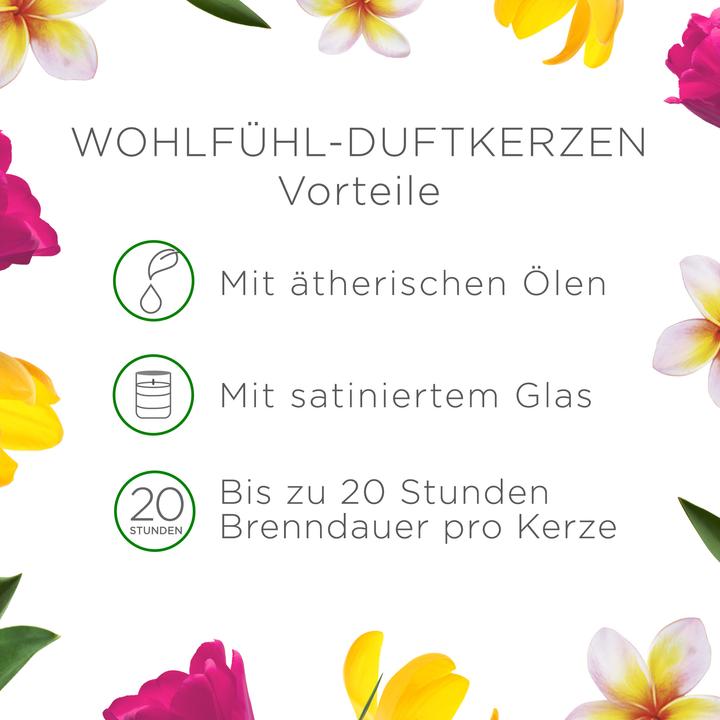 Produktbild Air Wick Blumenwiese (105 g)